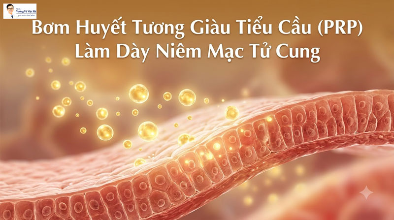 bơm PRP làm dày niêm mạc tử cung