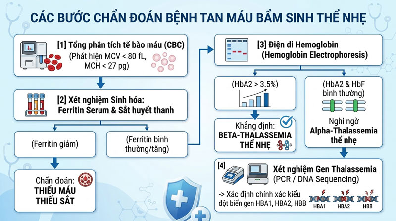 Các bước chẩn đoán bệnh tan máu bẩm sinh thể nhẹ