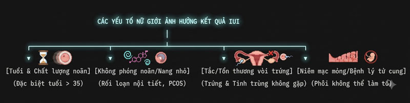 Nguyên Nhân Khiến Bơm Tinh Trùng Không Thành Công Từ Phía Người Vợ