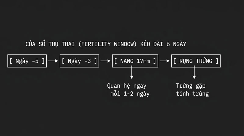 cửa sổ thụ thai