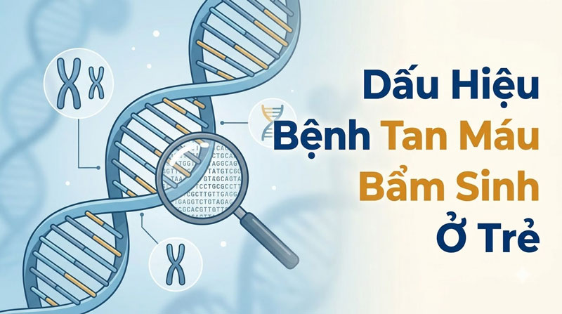 Dấu Hiệu Bệnh Tan Máu Bẩm Sinh Ở Trẻ: 7 Cảnh Báo Sớm Cha Mẹ Không Được Bỏ Qua