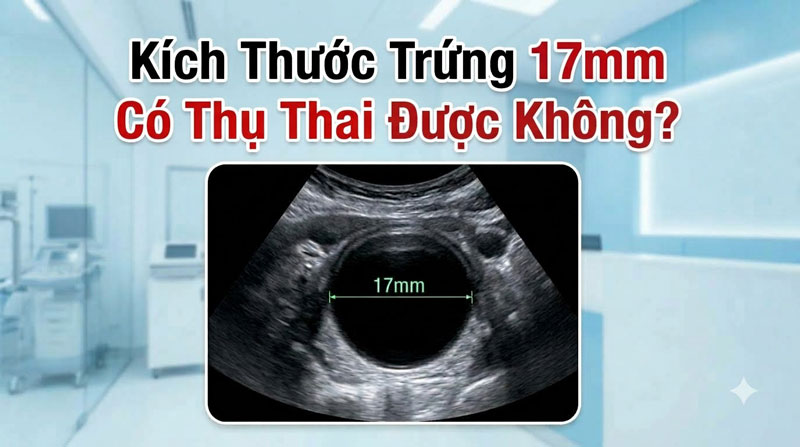 Kích Thước Trứng 17mm Có Thụ Thai Được Không? Thời Điểm Vàng Đón Con