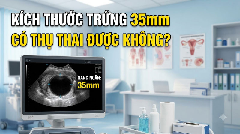 Kích Thước Trứng 35mm Có Thụ Thai Được Không? Giải Đáp Y Khoa Từ Bác Sĩ