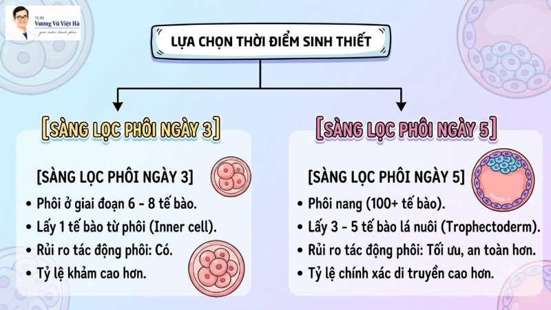 So Sánh Sàng Lọc Phôi Ngày 3 Và Sàng Lọc Phôi Ngày 5