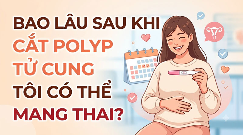 Mổ Polyp Tử Cung Bao Lâu Mới Có Thai? Khoảng Thời Gian Vàng Cho Bố Mẹ