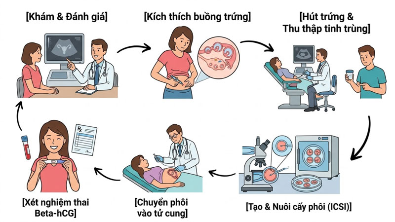 Quy trình gồm 6 bước khép kín trong ivf