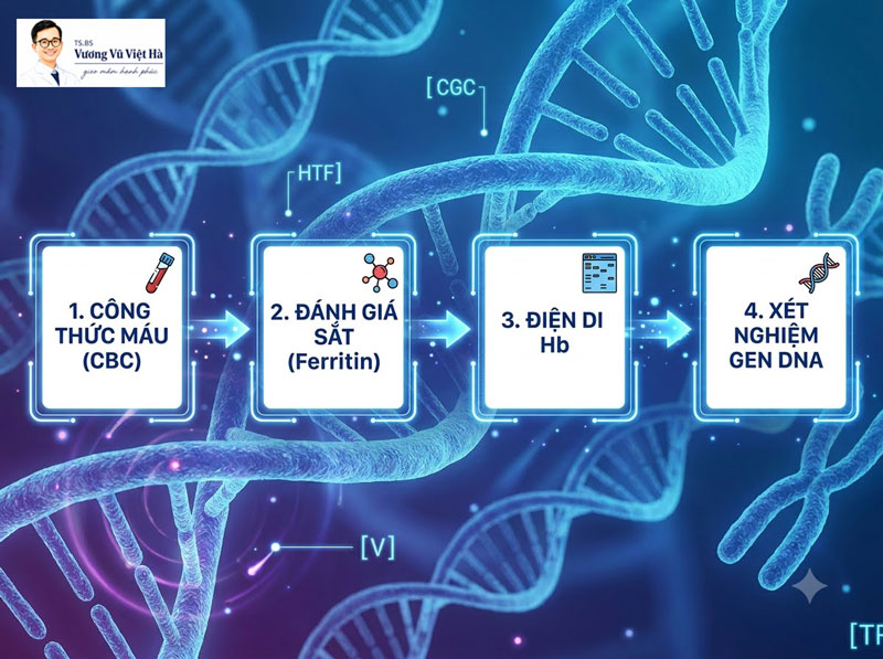 Quy trình sàng lọc Thalassemia 4 bước chuẩn Y khoa.