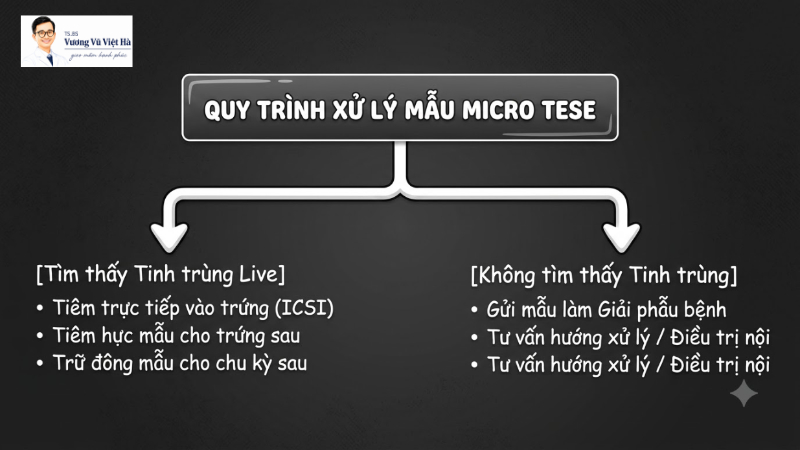 quy trình xử lý mẫu micro tese