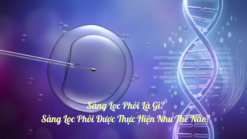 sàng lọc phôi là gì