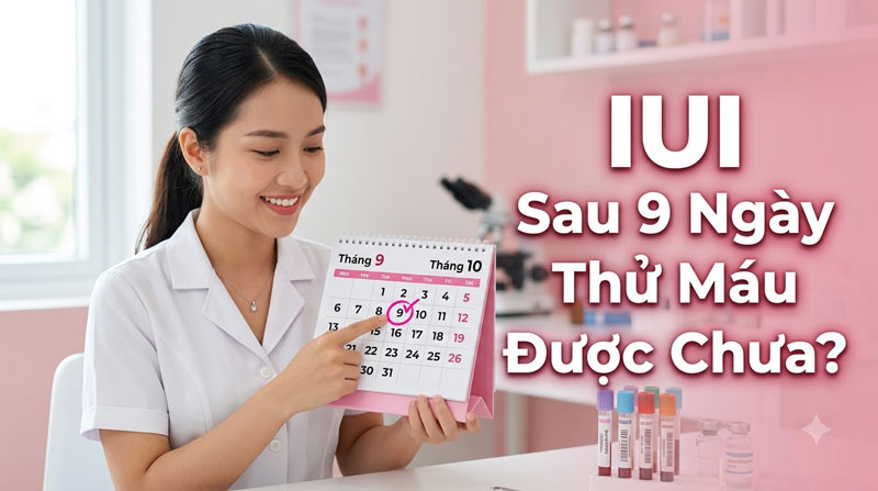 IUI Sau 9 Ngày Thử Máu Được Chưa? Đáp Án Từ Bác Sĩ Hiếm Muộn