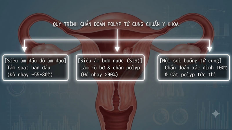 Quy trình siêu âm polyp tử cung