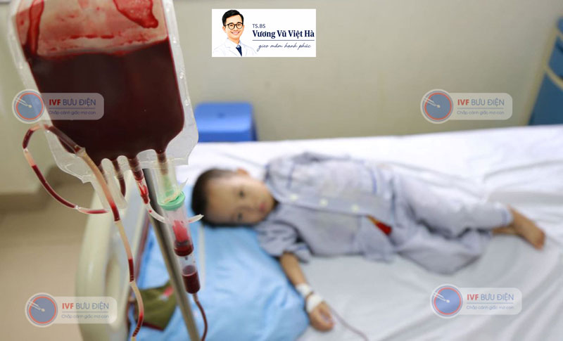 Mỗi năm Việt Nam ghi nhận hơn 8.000 trẻ sinh ra mắc Thalassemia
