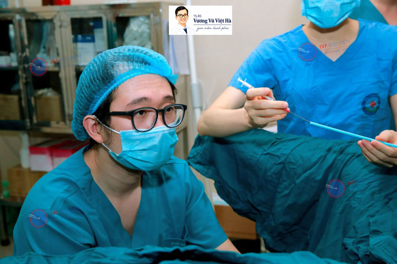 Bác sĩ Vương Vũ Việt Hà đang thực hiện thủ thuật IUI