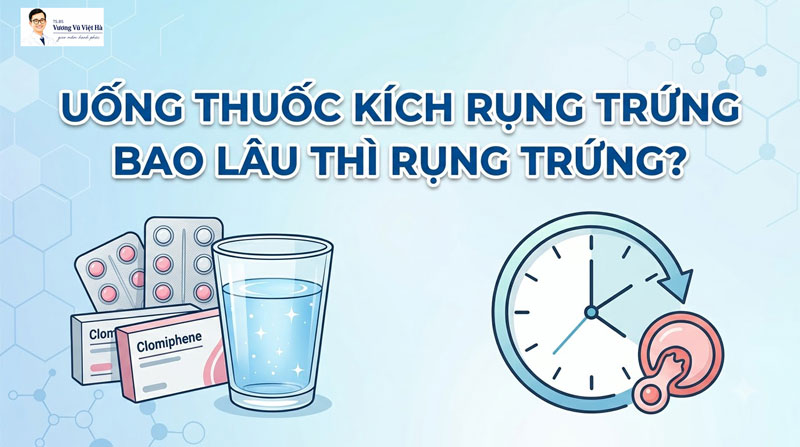 Uống Thuốc Kích Trứng Sau Bao Lâu Thì Trứng Rụng? Mốc Thời Gian Chuẩn Y Khoa