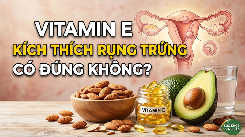 Vitamin E Kích Thích Rụng Trứng Có Đúng Không? Cách Dùng Đạt Hiệu Quả Tối Đa